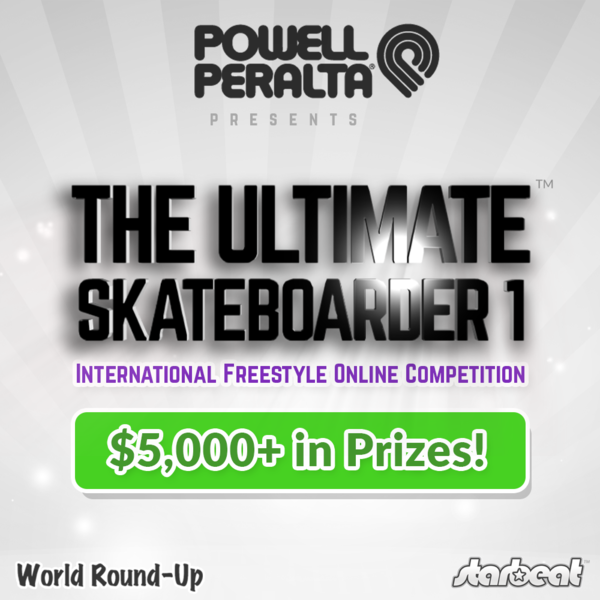 File:The Ultimate Skateboarder 1 Banner.png