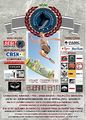 2017 Braza Freestyle Championships Suzano Edition Flyer.jpg