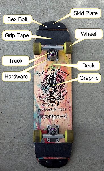 File:Freestyle Skateboard Anatomy (Bottom).jpg